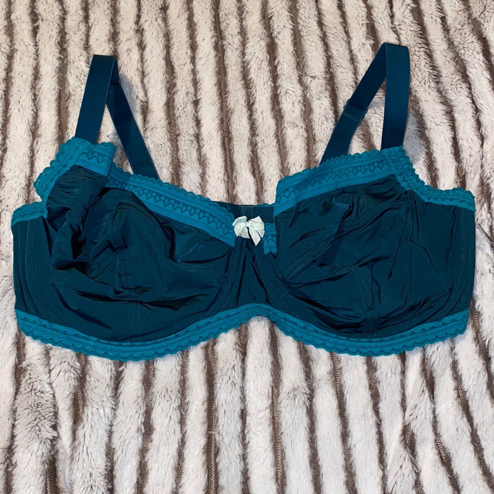 NWT Bra 40H